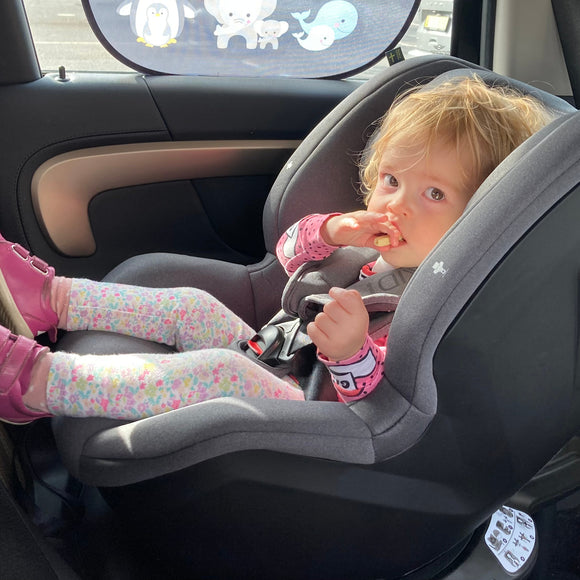 ISOfix Seats Up To 105cm